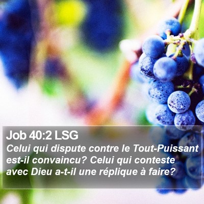 Job 40:2 LSG Bible Verse Image