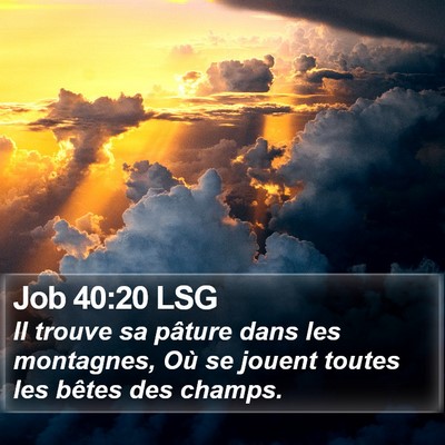 Job 40:20 LSG Bible Verse Image