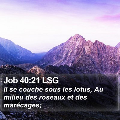Job 40:21 LSG Bible Verse Image