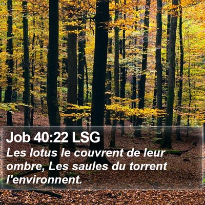 Job 40:22 LSG Bible Verse Image