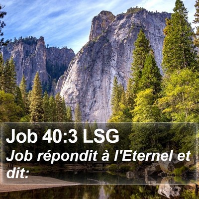 Job 40:3 LSG Bible Verse Image