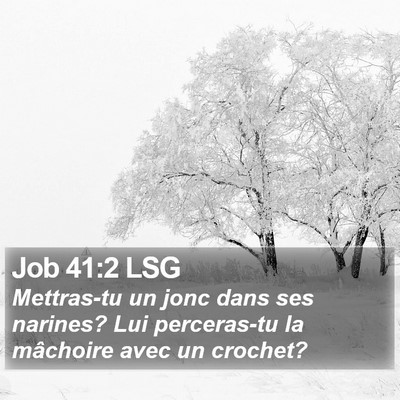Job 41:2 LSG Bible Verse Image