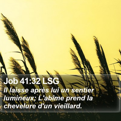 Job 41:32 LSG Bible Verse Image