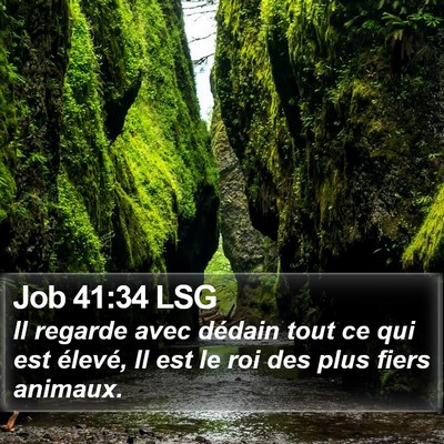 Job 41:34 LSG Bible Verse Image