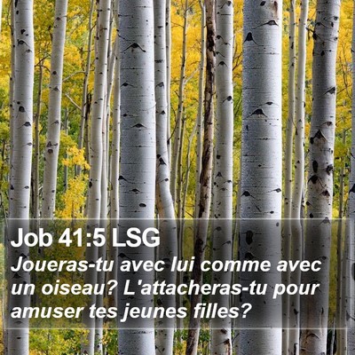 Job 41:5 LSG Bible Verse Image