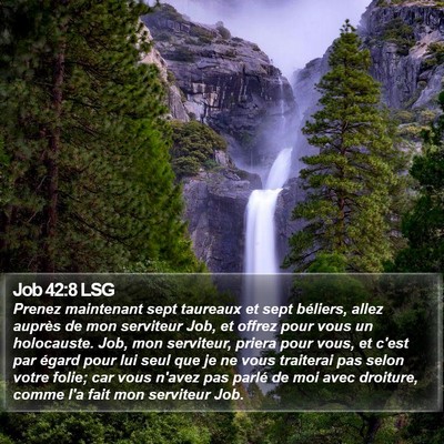 Job 42:8 LSG Bible Verse Image