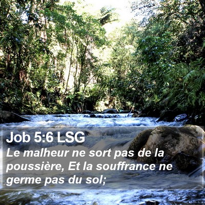 Job 5:6 LSG Bible Verse Image