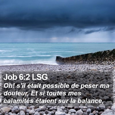 Job 6:2 LSG Bible Verse Image