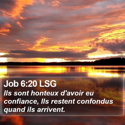 Job 6:20 LSG Bible Verse Image