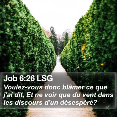 Job 6:26 LSG Bible Verse Image