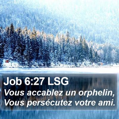 Job 6:27 LSG Bible Verse Image