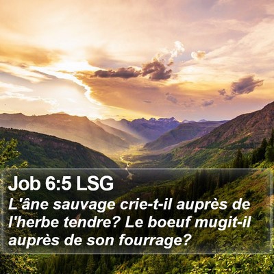 Job 6:5 LSG Bible Verse Image