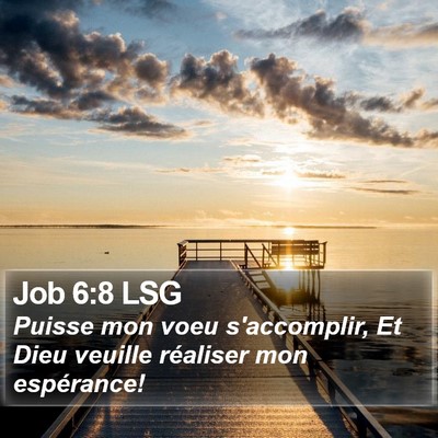 Job 6:8 LSG Bible Verse Image