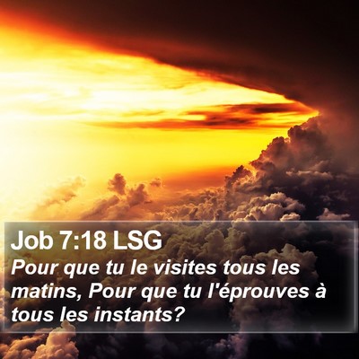 Job 7:18 LSG Bible Verse Image
