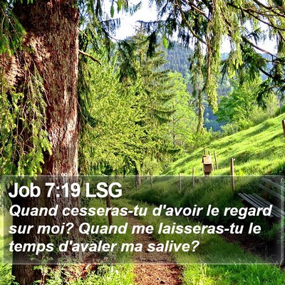 Job 7:19 LSG Bible Verse Image