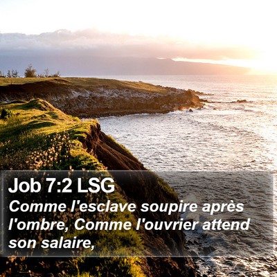 Job 7:2 LSG Bible Verse Image