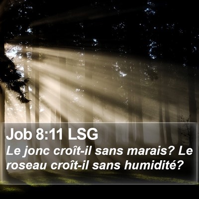 Job 8:11 LSG Bible Verse Image