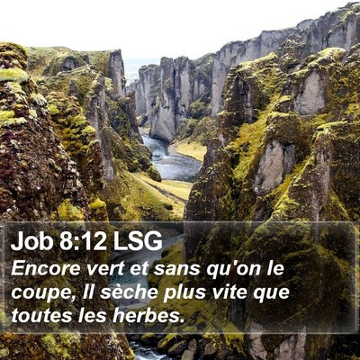 Job 8:12 LSG Bible Verse Image
