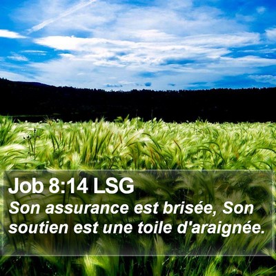 Job 8:14 LSG Bible Verse Image