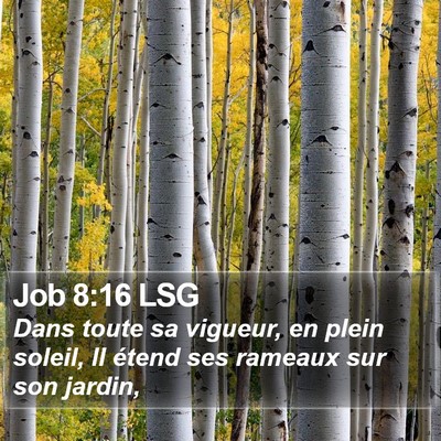 Job 8:16 LSG Bible Verse Image