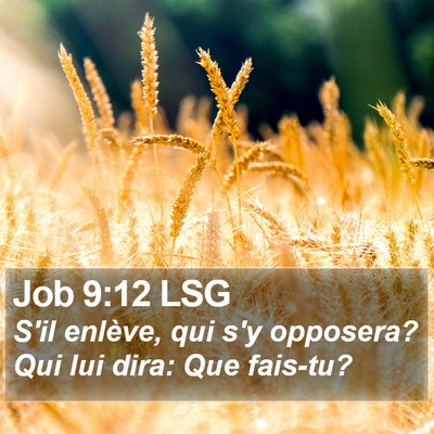 Job 9:12 LSG Bible Verse Image