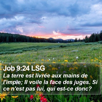 Job 9:24 LSG Bible Verse Image