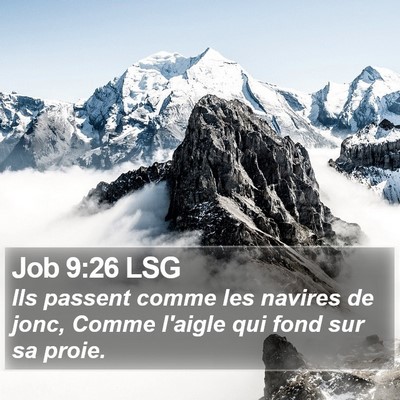 Job 9:26 LSG Bible Verse Image