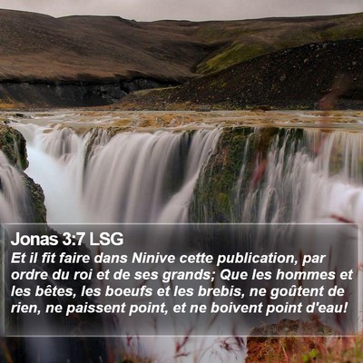 Jonas 3:7 LSG Bible Verse Image