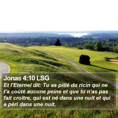 Jonas 4:10 LSG Bible Verse Image