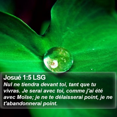 Josué 1:5 LSG Bible Verse Image