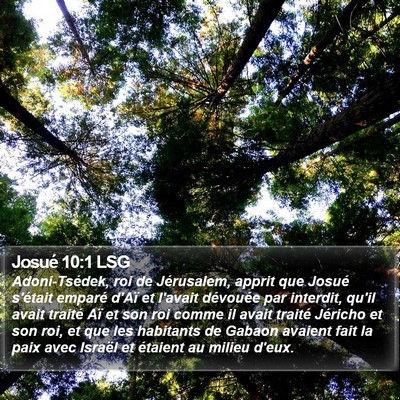 Josué 10:1 LSG Bible Verse Image