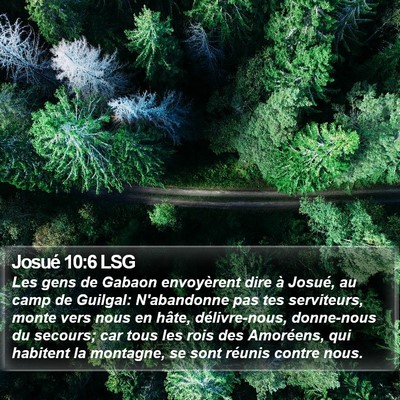Josué 10:6 LSG Bible Verse Image