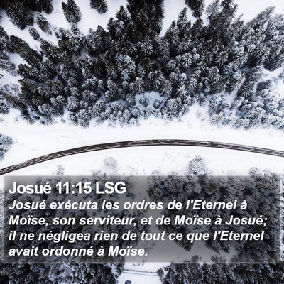 Josué 11:15 LSG Bible Verse Image