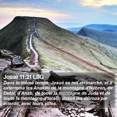 Josué 11:21 LSG Bible Verse Image