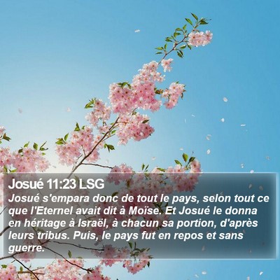 Josué 11:23 LSG Bible Verse Image