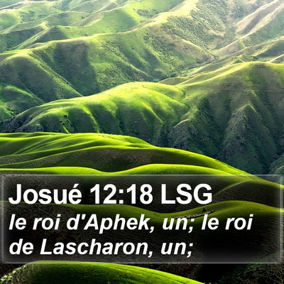 Josué 12:18 LSG Bible Verse Image
