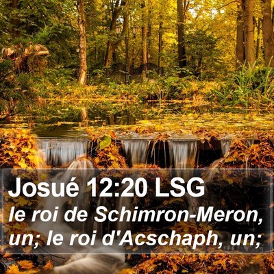 Josué 12:20 LSG Bible Verse Image