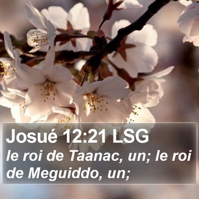 Josué 12:21 LSG Bible Verse Image