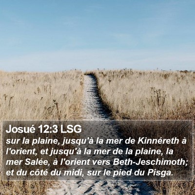 Josué 12:3 LSG Bible Verse Image