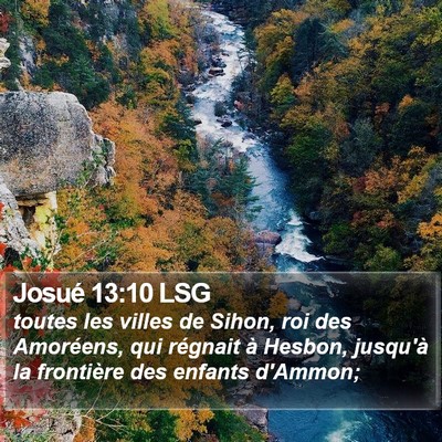 Josué 13:10 LSG Bible Verse Image
