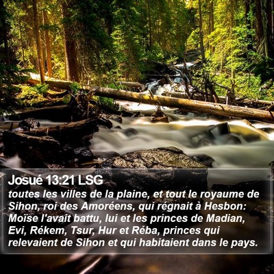 Josué 13:21 LSG Bible Verse Image