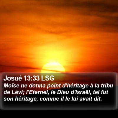 Josué 13:33 LSG Bible Verse Image