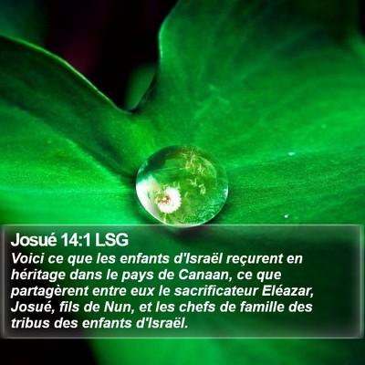 Josué 14:1 LSG Bible Verse Image