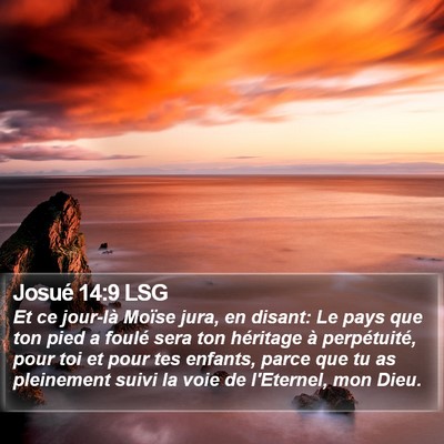Josué 14:9 LSG Bible Verse Image