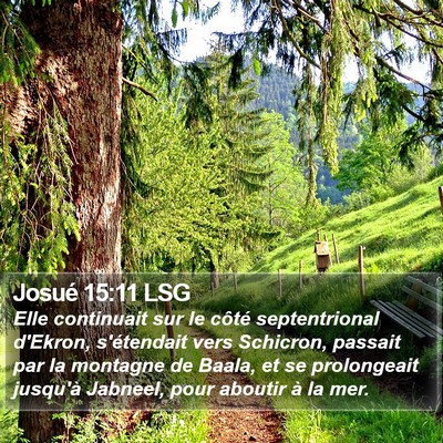 Josué 15:11 LSG Bible Verse Image