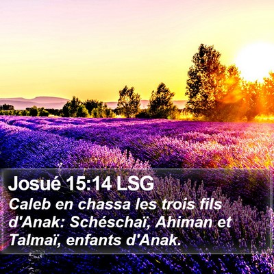 Josué 15:14 LSG Bible Verse Image
