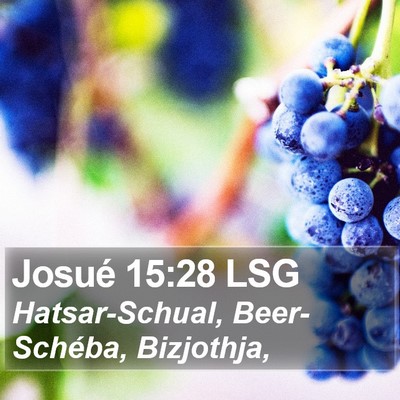 Josué 15:28 LSG Bible Verse Image