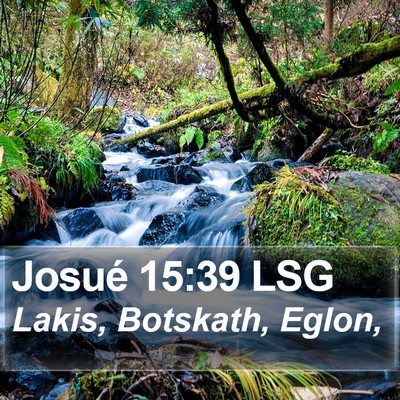 Josué 15:39 LSG Bible Verse Image