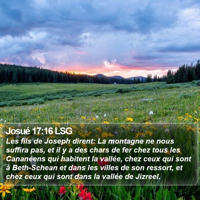 Josué 17:16 LSG Bible Verse Image