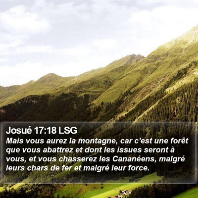 Josué 17:18 LSG Bible Verse Image
